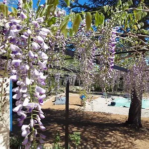 https://la-margottiere-chez-isa-et-titi.fr-provencehotel.com